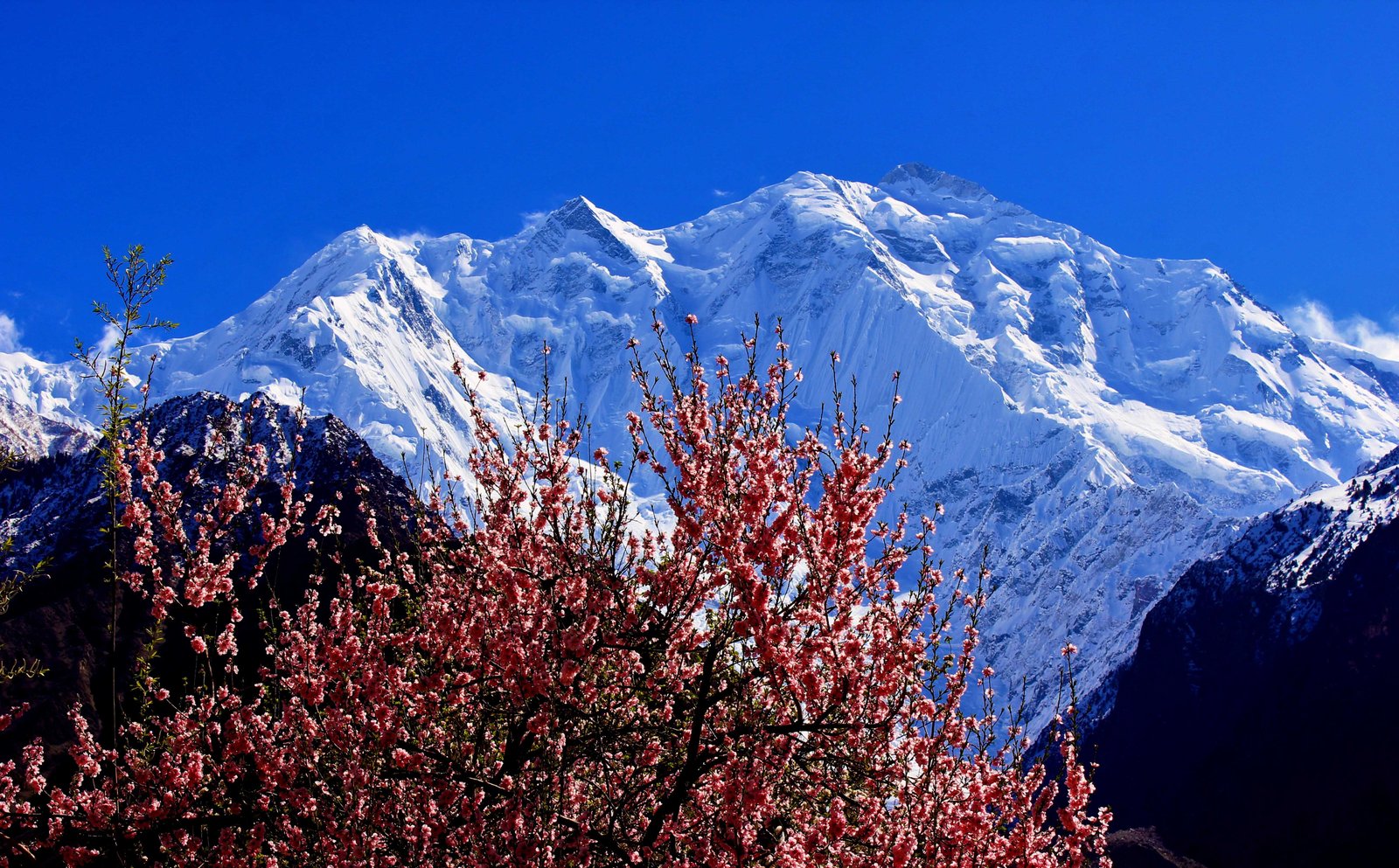 Rakaposhi Mountain